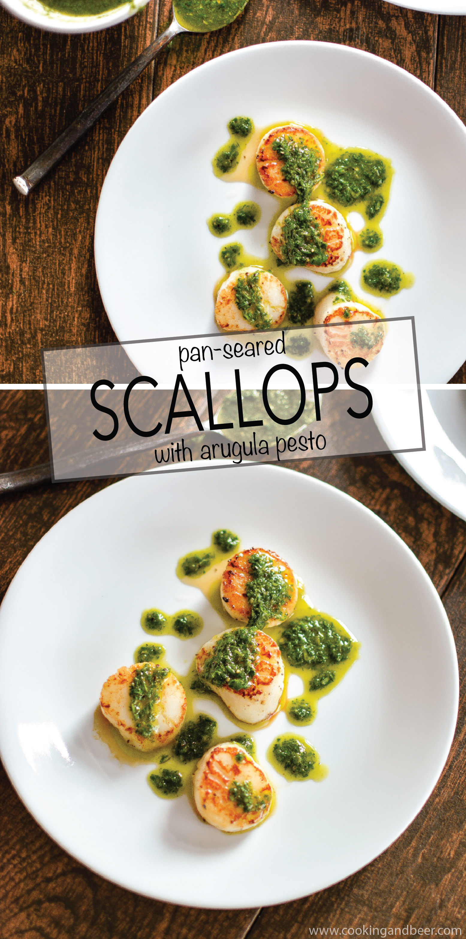 Pan-Seared Scallops with Arugula Pesto is a summer recipe to highlight fresh seafood with greens and fresh herbs! | www.cookingandbeer.com