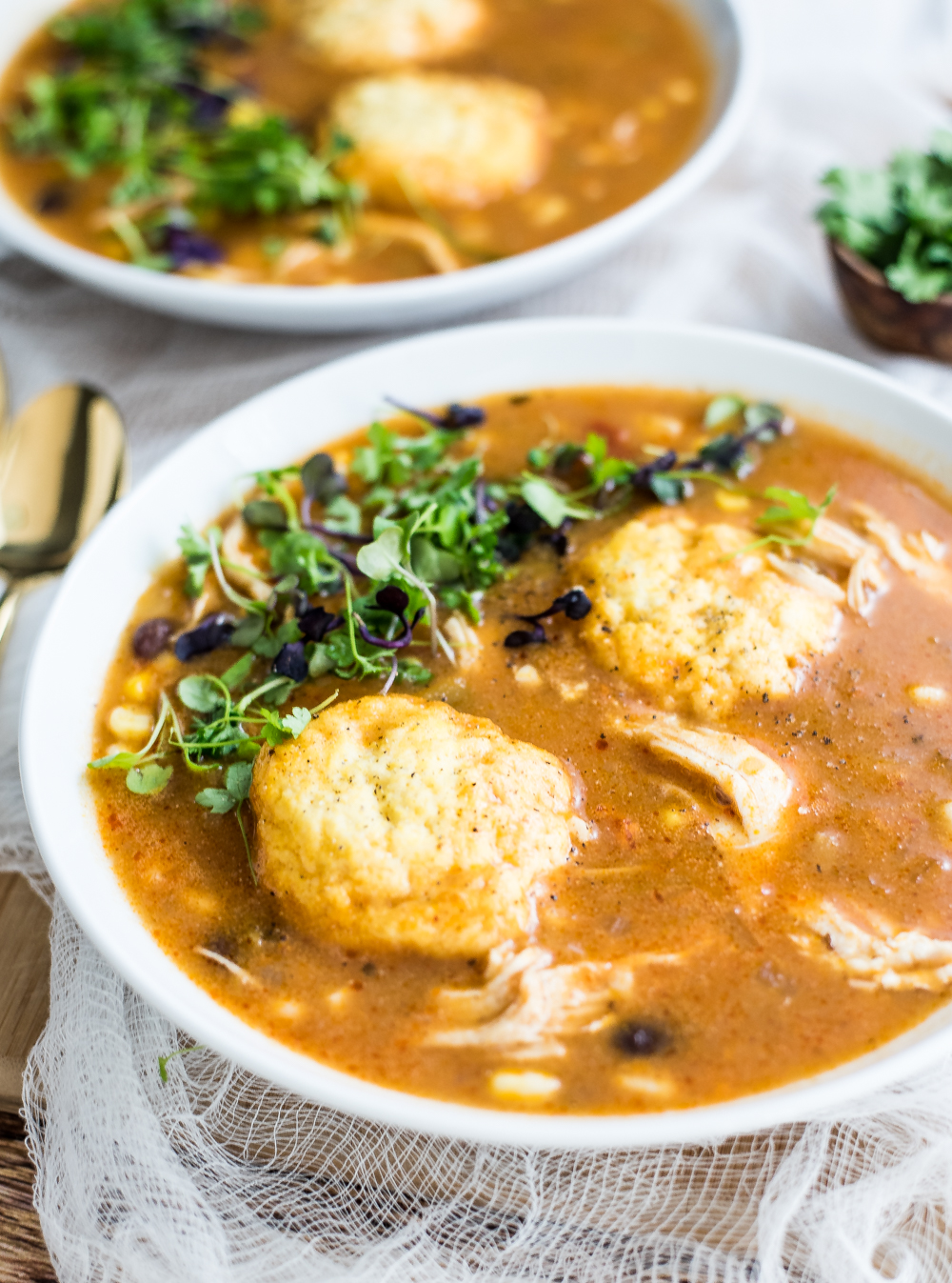 Southwestern Chicken Soup with Cornmeal Dumplings - Cooking and Beer