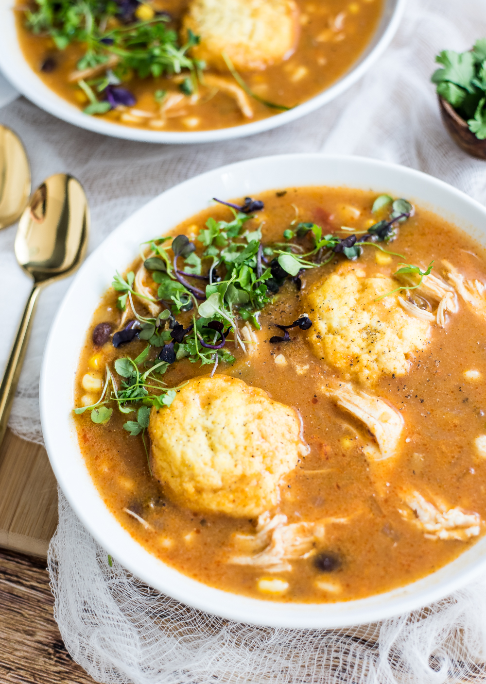Southwestern Chicken Soup with Cornmeal Dumplings - Cooking and ...